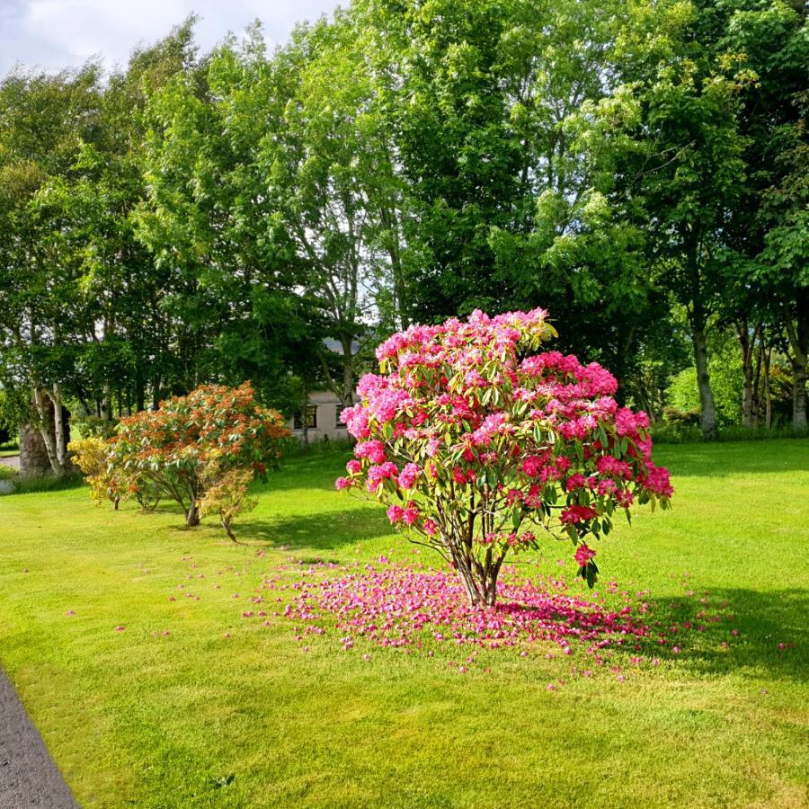 Bogenraith House Hotel Banchory Luaran gambar